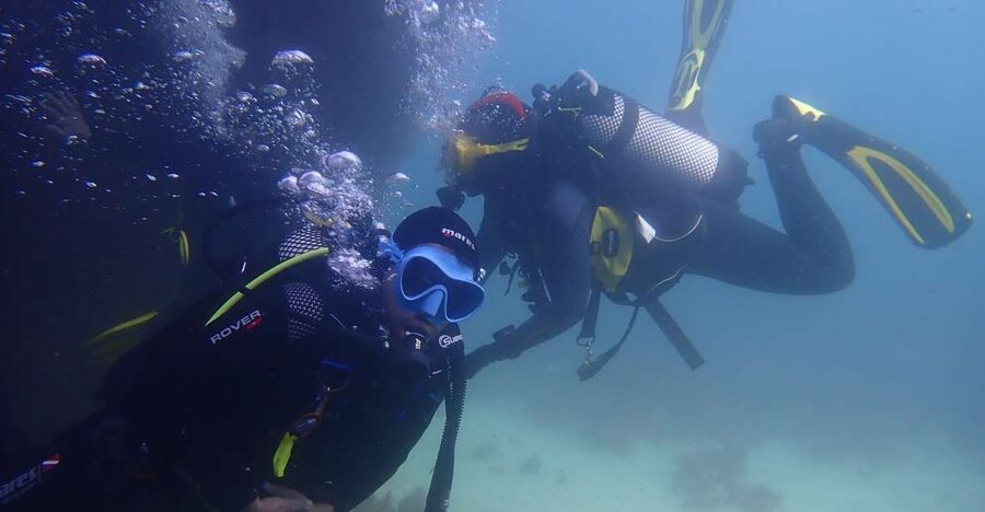Lisbon: Try Dive in Arrábida Marine Reserve Setubal Sesimbra - The leadership style you want for a first session