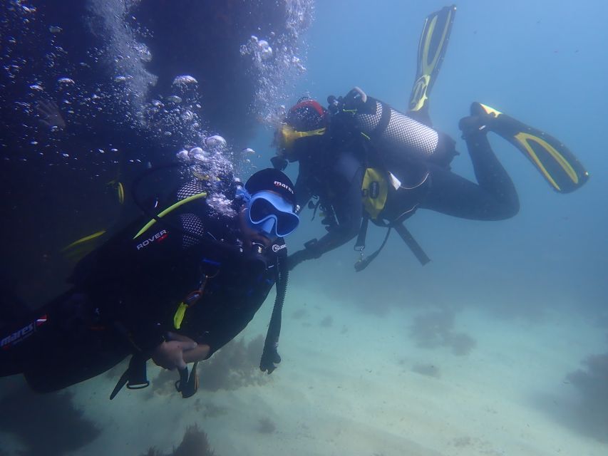 Lisbon: Try Dive in Arrábida Marine Reserve Setubal Sesimbra - Creiro’s Beach meeting point and the speedboat transfer