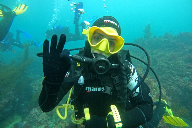 Lisbon: Try Scuba Diving in Arrabida Marine Reserve with photos - The Arrábida Marine Reserve angle: a great first underwater “classroom”