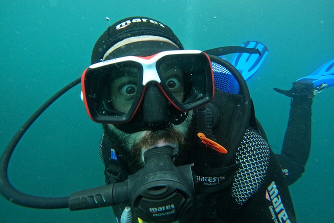 Lisbon: Try Scuba Diving in Arrabida Marine Reserve with photos - SSI credit: what this could mean for your future scuba plans