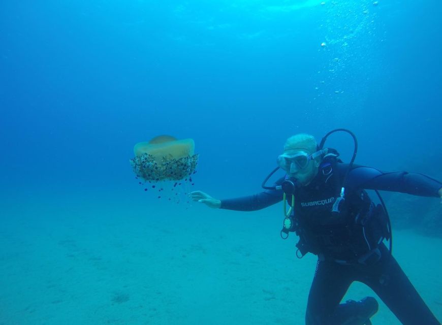 Lloret de Mar: Scuba Diving Experience no License Required - Why Lloret de Mar Works for a First Scuba Session