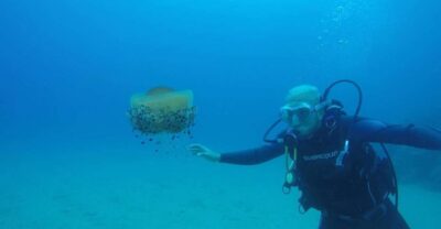 Lloret de Mar: Scuba Diving Experience no License Required - Your 2-Hour Plan: Theory, Practice Bay, Then Underwater Swimming