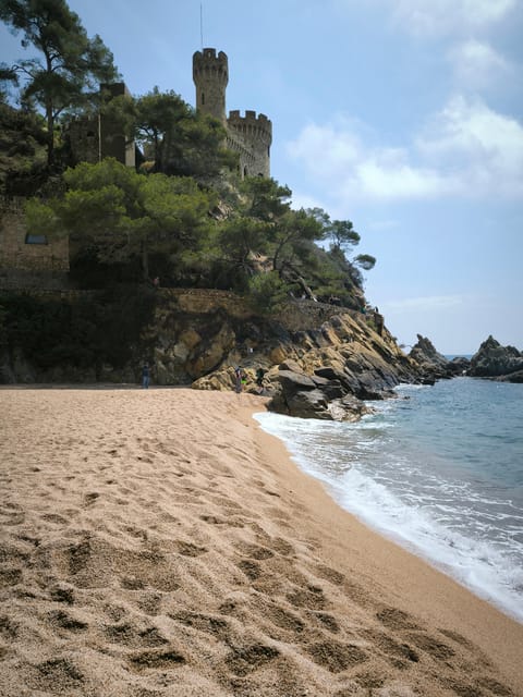 Lloret de Mar: Scuba Diving Experience no License Required - Quick Logistics: Meeting at Dolphins Diving Center and What to Expect