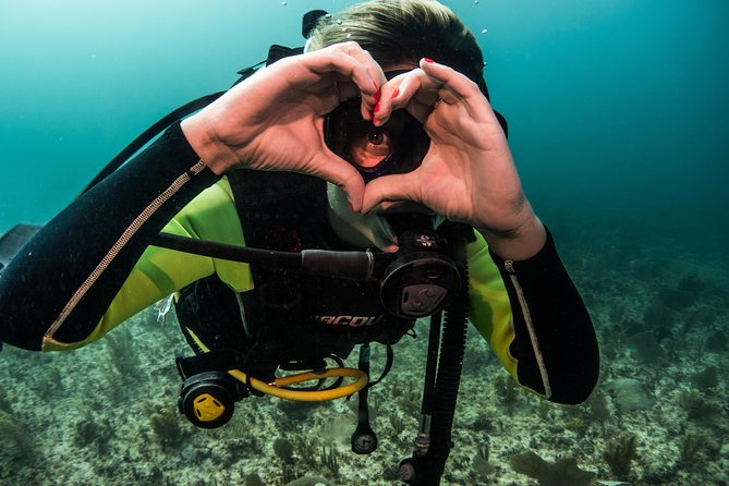 Local Dive in Playa del Carmen - Playa del Carmen in a Tight Window: How the Timing Works