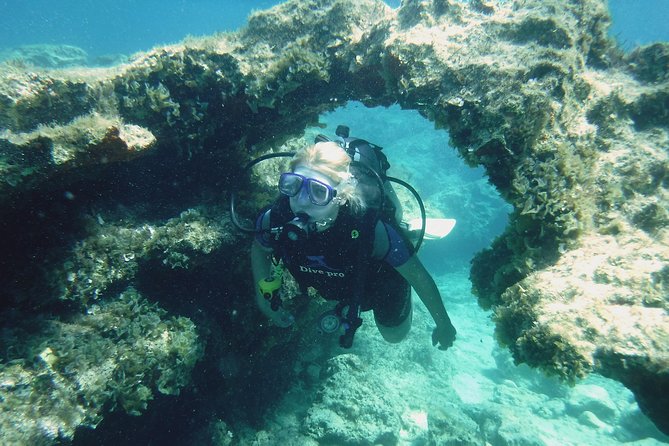 Local Guided Dives (for certified/licensed divers) - Key highlights at a glance