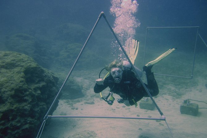 Local Guided Dives (for certified/licensed divers) - Getting from Poseidon check-in to your first water-entry