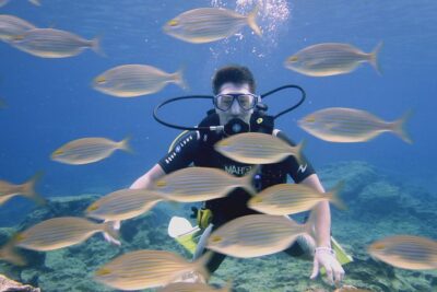Local Guided Dives (for certified/licensed divers) - Choosing your underwater locations: easy entries, caves, turtles, and deeper options