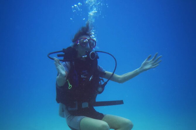 Local Guided Dives (for certified/licensed divers) - Transfers, meeting point, and how to time your day