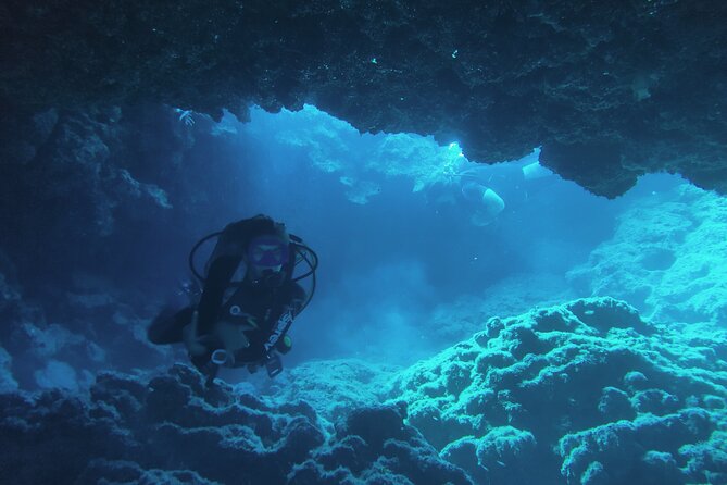 Local Guided Dives (for certified/licensed divers) - Who should book this in Protaras