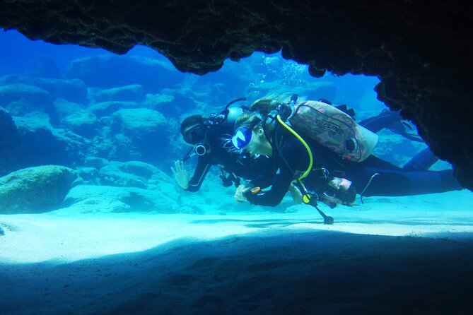 Local Guided Dives (for certified/licensed divers) - Should you book?