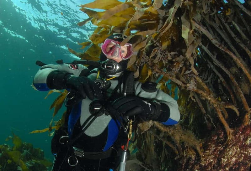 Lofoten: First Time Scuba Diving Experience - Speedboat ride: part transport, part Arctic intro