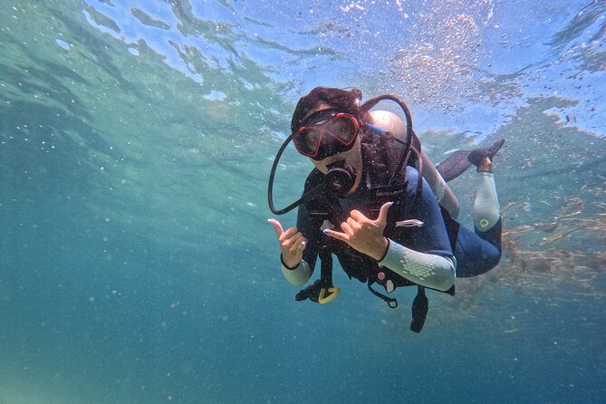 Los Cabos 1 tank dive to Land’s End (Certified Divers) - Key highlights to know before you go