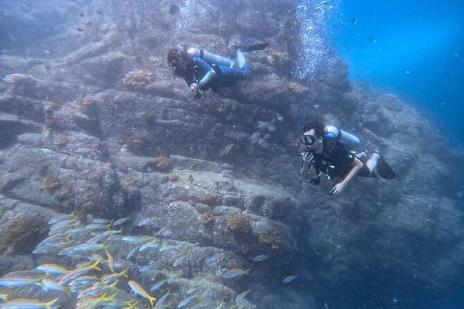 Los Cabos 1 tank dive to Land’s End (Certified Divers) - Why Los Cabos currents make this one-tank outing feel bigger