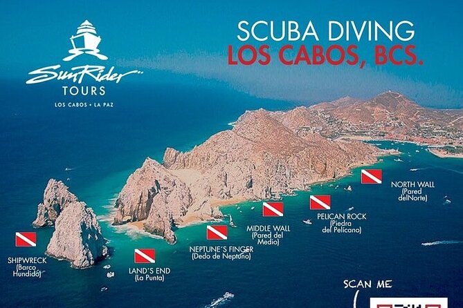 Los Cabos 1 tank dive to Land’s End (Certified Divers) - Who should book this one-tank trip (and who should skip it)