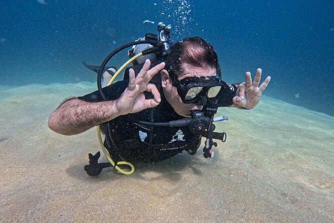 Los Cabos 2 tanks dive to The Corridor (Certified divers) - The Sea of Cortez currents: why The Corridor feels different