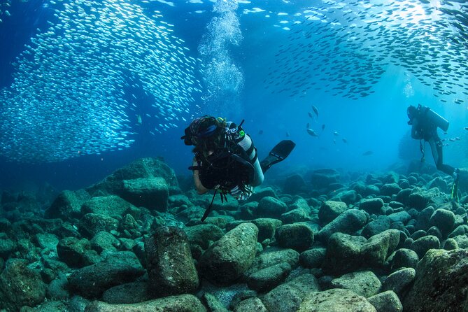 Los Cabos 2 tanks dive to The Corridor (Certified divers) - Should you book this 2-tank Corridor scuba outing?