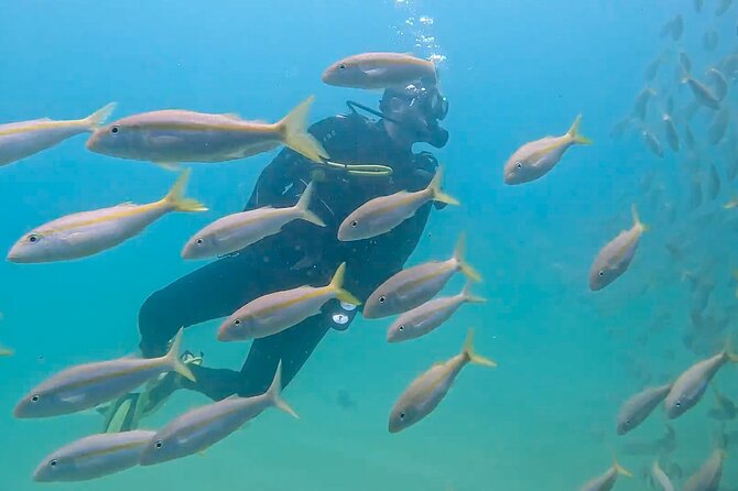 Los Cabos 2 tanks dive to The Corridor (Certified divers) - FAQ
