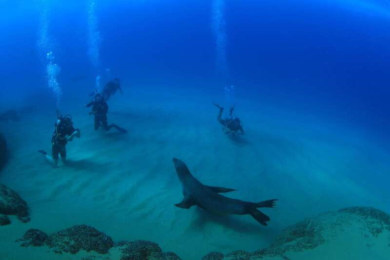 Los Cabos 3-Hour Certified Scuba Diving Tour - Key Takeaways Before You Go