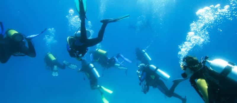 Los Cabos 3-Hour Certified Scuba Diving Tour - Small Group Energy: Why Max 6 Feels Better Than Big Boats