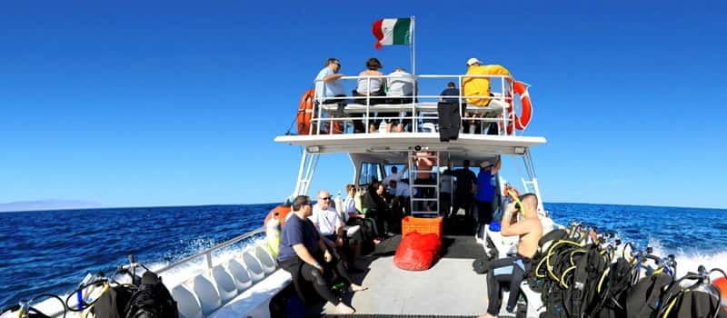 Los Cabos 3-Hour Certified Scuba Diving Tour - Best For Who? Who Will Enjoy This Tour Most