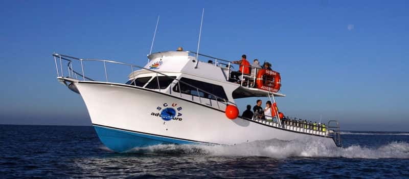 Los Cabos: 3-Hour Introductory Scuba Diving Adventure - Key things I’d bank on before you go