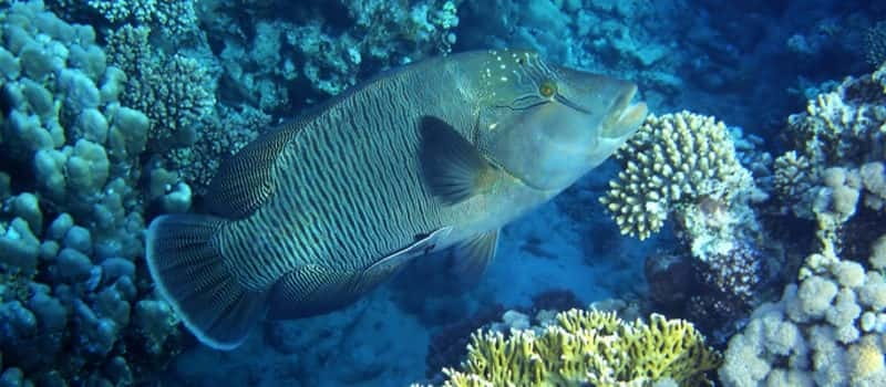 Los Cabos: 3-Hour Introductory Scuba Diving Adventure - The 30-minute orientation that actually sets you up