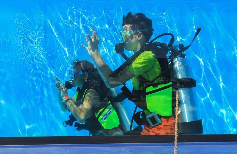 Los Cabos: 3-Hour Introductory Scuba Diving Adventure - Small group energy: why limit matters more than people think