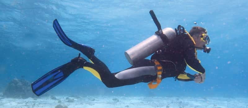 Los Cabos: 3-Hour Introductory Scuba Diving Adventure - Price and value: what $129 really means (and how to budget)