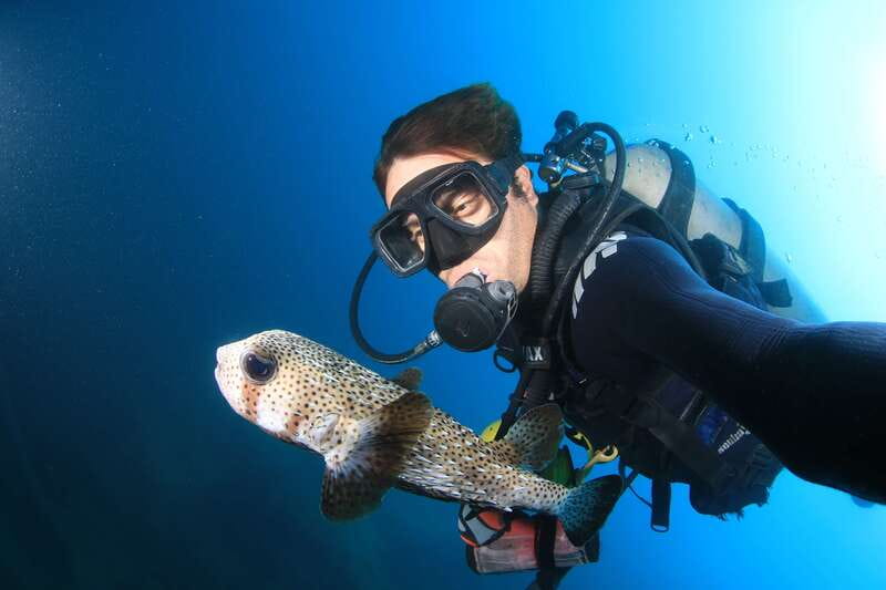 Los Cabos: 3-Hour Introductory Scuba Diving Adventure - Who this is best for (and who should skip it)