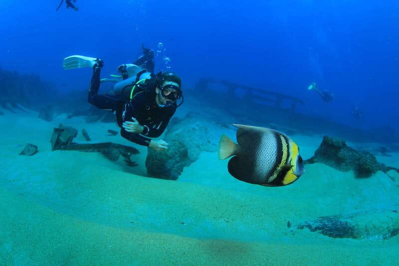 Los Cabos: 3-Hour Introductory Scuba Diving Adventure - Should you book this first-timer scuba session off Cabo San Lucas?