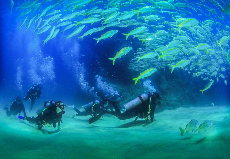 Los Cabos: 3-Hour Introductory Scuba Diving Adventure - Getting from Cabo San Lucas: van time and what you’re signing up for