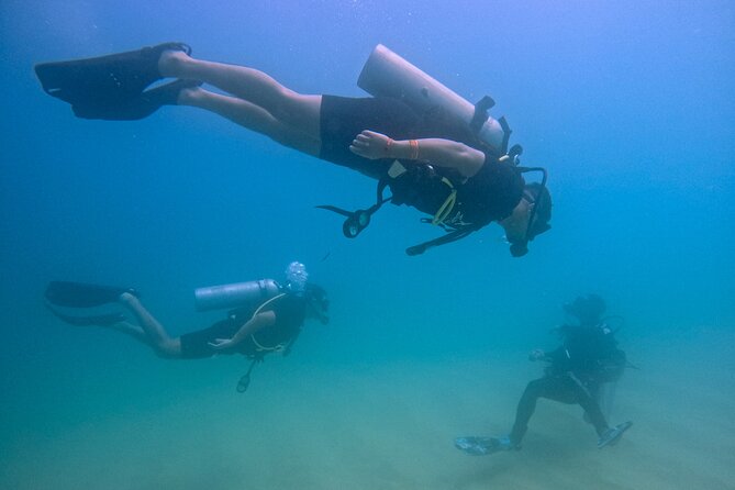 Los Cabos Beginner Scuba Dive Experience - Key Highlights to Know Before You Go