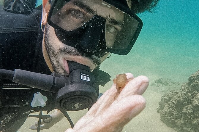 Los Cabos Beginner Scuba Dive Experience - Entering the Water: The Skills That Make You Feel Safe