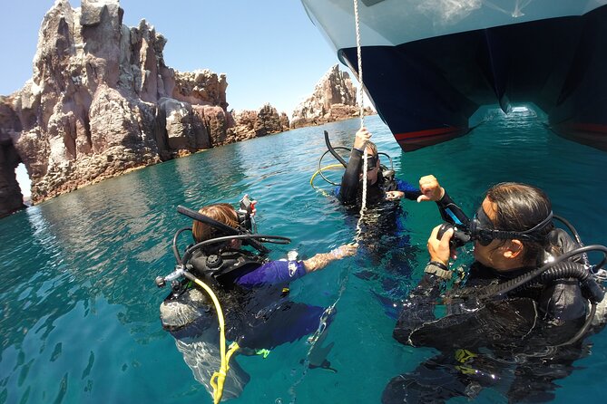Los Cabos Beginner Scuba Dive Experience - Who This Tour Is Best For (And When You Might Want Another Option)