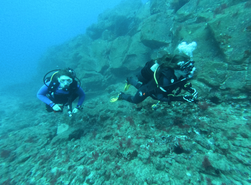 Los Cristianos: Try Dive for beginners - Booking tips: how to get the best first-time experience