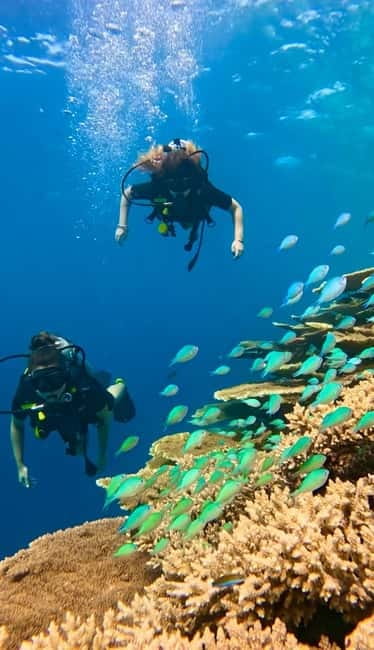 Maafushi: Discover Scuba Diving Class, First Time Experience - Meeting up near Maafushi Harbor (and finding the center fast)