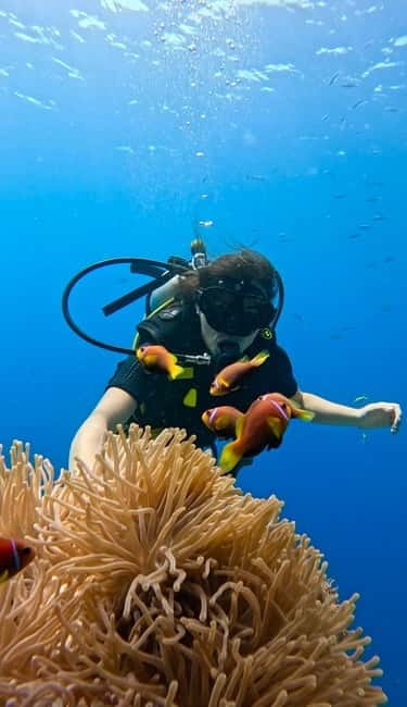 Maafushi: Discover Scuba Diving Class, First Time Experience - The 20-minute safety video: your quick mental checklist