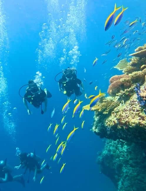 Maafushi: Discover Scuba Diving Class, First Time Experience - Should you book this Maafushi first-time scuba class?