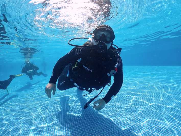 Madeira, Ponta São Lourenço: Scuba Diving for Beginners - Quick highlights