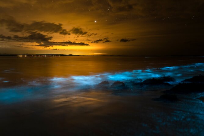 Magical Bioluminescent Night Dive - Magical Bioluminescence on Bonaire: What You’re Paying For