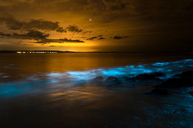 Magical Bioluminescent Night Dive - Who This Is Best For (Certified Divers Who Want the Real Thing)