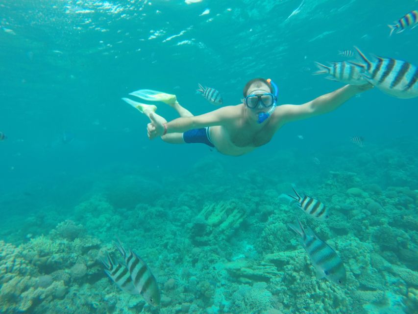 Makadi Bay: Snorkelling and Diving Island Trip - Snorkeling Stops and the Guide Factor