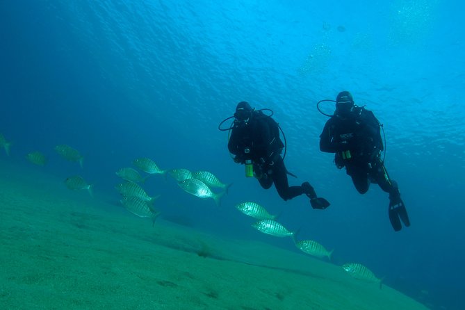 Make a private Try Dive, for your first Scuba experience! - Private group setup: small numbers, better attention
