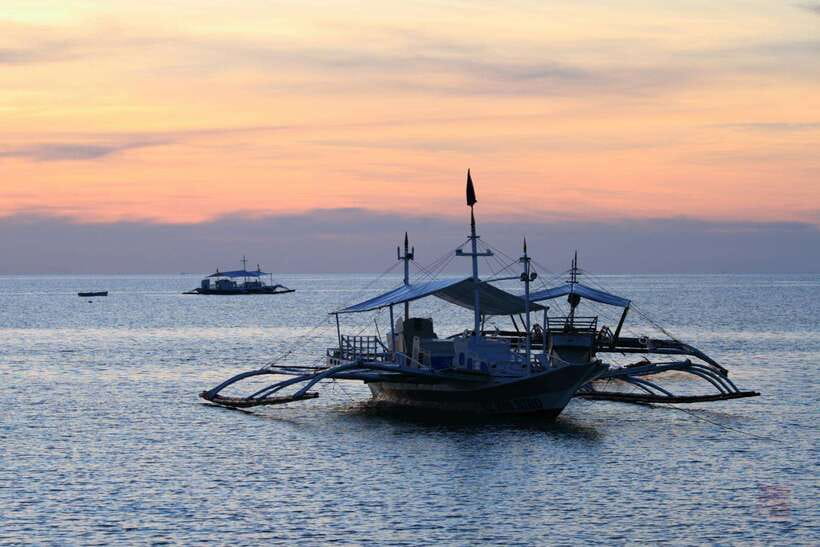 Malapascua: Advance Divers Shark Dive & Optional Transfer - Who this is for (and who should not book)