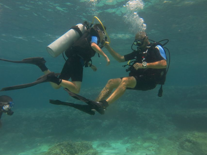 Mallorca: Discover Scuba Diving for Beginners - Two PADI instructors in a group of six