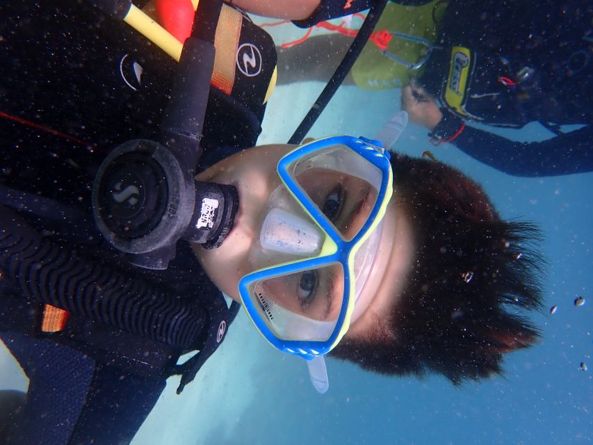 Mallorca: Discover Scuba Diving for Beginners - The PADI Discover Scuba certificate: what you gain