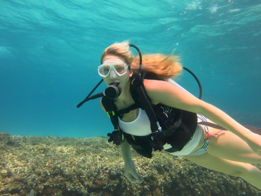 Mallorca: Discover Scuba Diving for Beginners - Price and value: is $176 fair for what’s included?