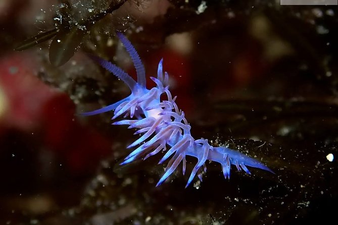 Mallorca: Discover Scuba Diving from the boat - The Boat Ride: Why Starting from Water Changes the Day