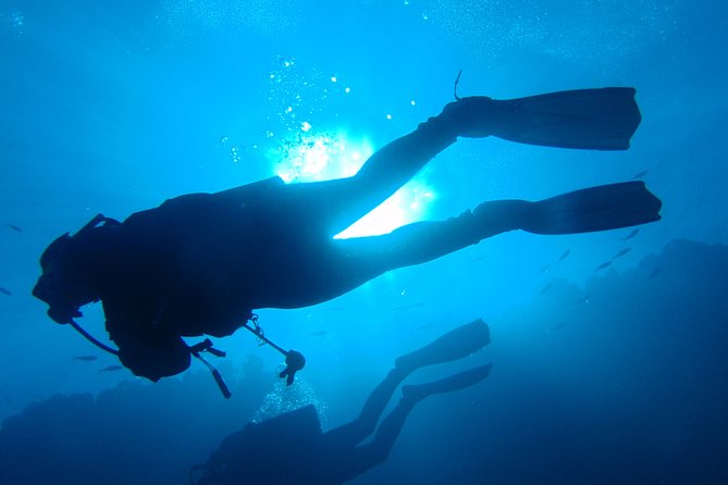 Mallorca: Discover Scuba Diving from the boat - Small Group Size: Why It Affects Your Comfort Level