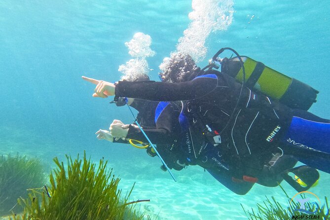 Mallorca PRIVATE Reservation<em>Scuba dive + photo/video – Key Things That Make This Scuba Session Worth It’ /></p>
<ul>
<li><strong>Private 1-to-2 instructor ratio</strong> with no other group in your session</li>
<li><strong>Shore-based start</strong> at about 1 meter to build confidence fast</li>
<li><strong>GoPro Hero 10 included</strong> for underwater photos and video, taken by an assistant</li>
<li><strong>Shallow depth limit for beginners</strong> (listed up to ~5 meters, with 6 meters noted as a maximum)</li>
<li><strong>Equipment support if you struggle</strong> (your setup inflates like a lifejacket so you can float with the instructor)</li>
<li><strong>Underwater time that’s long enough to feel real</strong>: about 45–50 minutes in the water, within a ~2-hour total experience</li>
</ul>
<h2 id="mallorcas-private-scuba-session-setup-palma-bendinat-and-a-real-beginner-plan">Mallorca’s Private Scuba Session Setup: Palma, Bendinat, and a Real Beginner Plan</h2>
<p><img width="669" height="446" decoding="async" src=